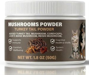 61dDa03s5pL._AC_SL1024_ Dog Dental Powder, Plaque and Tartar Remover for Dogs, Bad Breath Freshener Treatment, Natural Tooth Cleaning Powder for Dogs, 4.09oz Beef Mint