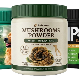 3-in-1 Essential Dog Wellness Bundle: Multi-Mushroom Immunity Boost, Hip & Joint Support Chews, and Natural Dental Care Powder
