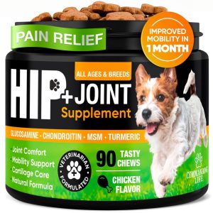 photo_2026-03-30_10-21-53 Dog Dental Powder – Dog Breath Freshener - Plaque and Tartar Remover for Dogs, Bad Breath Treatment, Natural Tooth Cleaning Powder for Dogs – Oral Care Supplement for Pets, 2.68oz